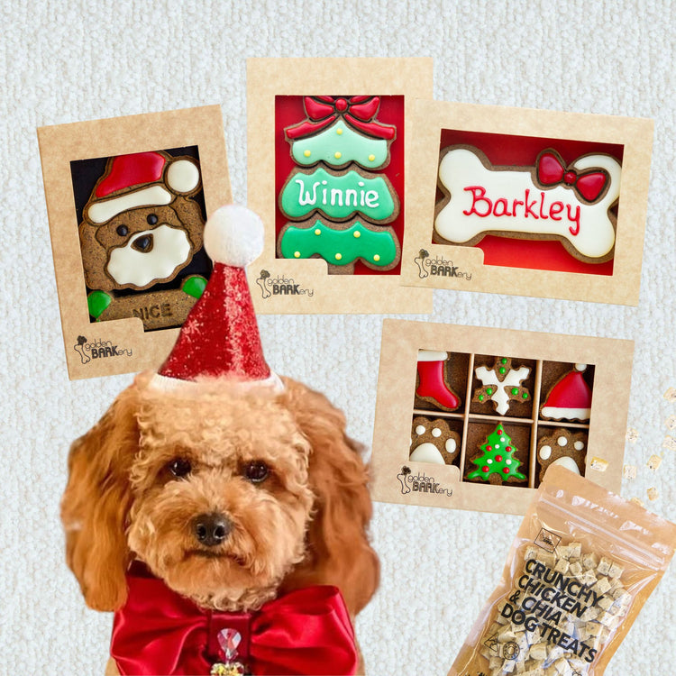 Dog Christmas Gift Ideas - Christmas Haul No 4