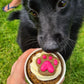 Dog-Cupcakes-Pupcakes-Puppy-Cupcakes-Social