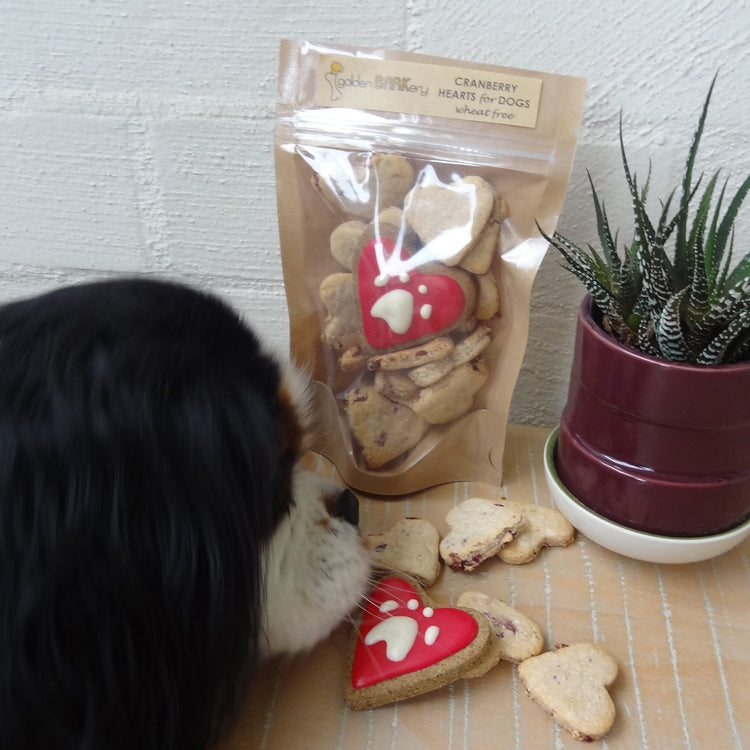 Dog Treats Cranberry Heart Homemade Dog Biscuits Social