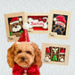 Dog Christmas Gift Ideas - Christmas Haul No 3
