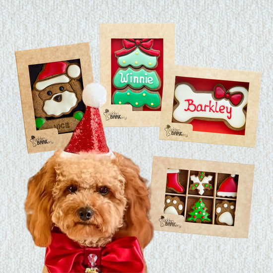 Dog Christmas Gift Ideas - Christmas Haul No 3