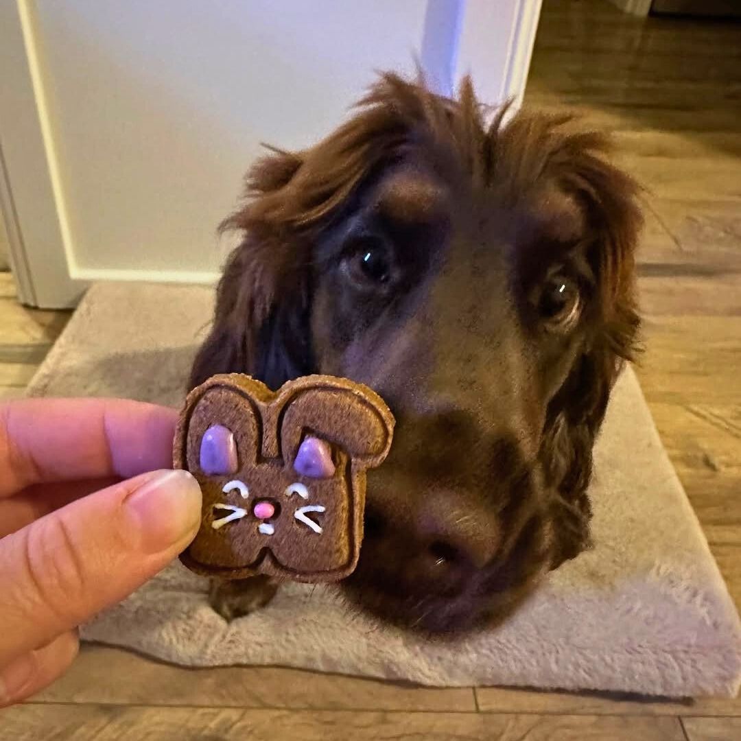 Easter Dog Gifts Easter Favourites Trio Biscuits Social