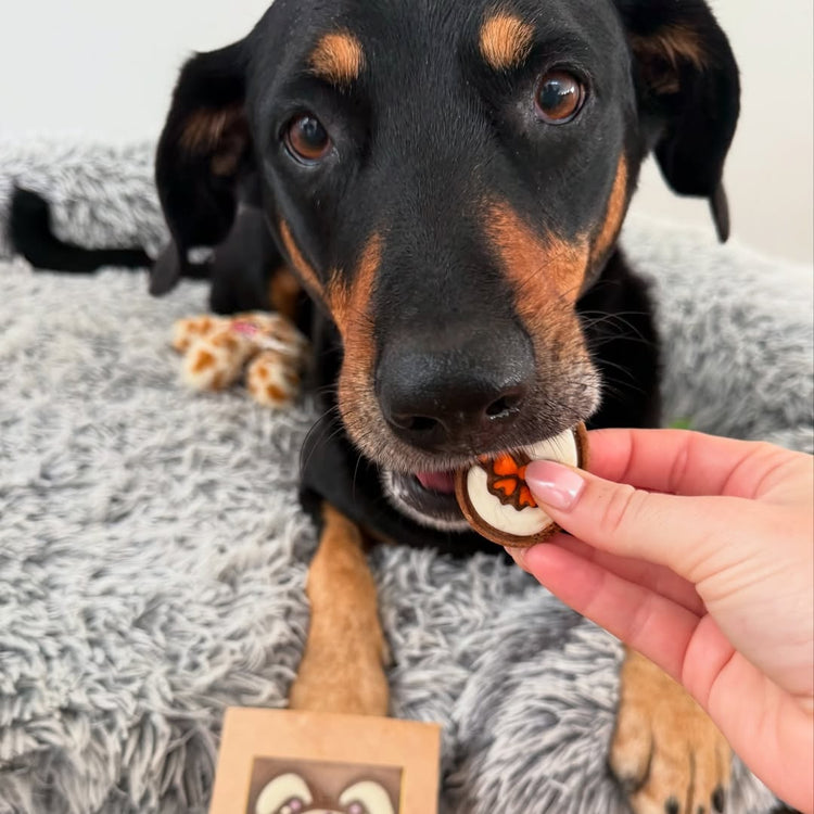 Easter Dog Gifts Egg Trio Biscuits Social