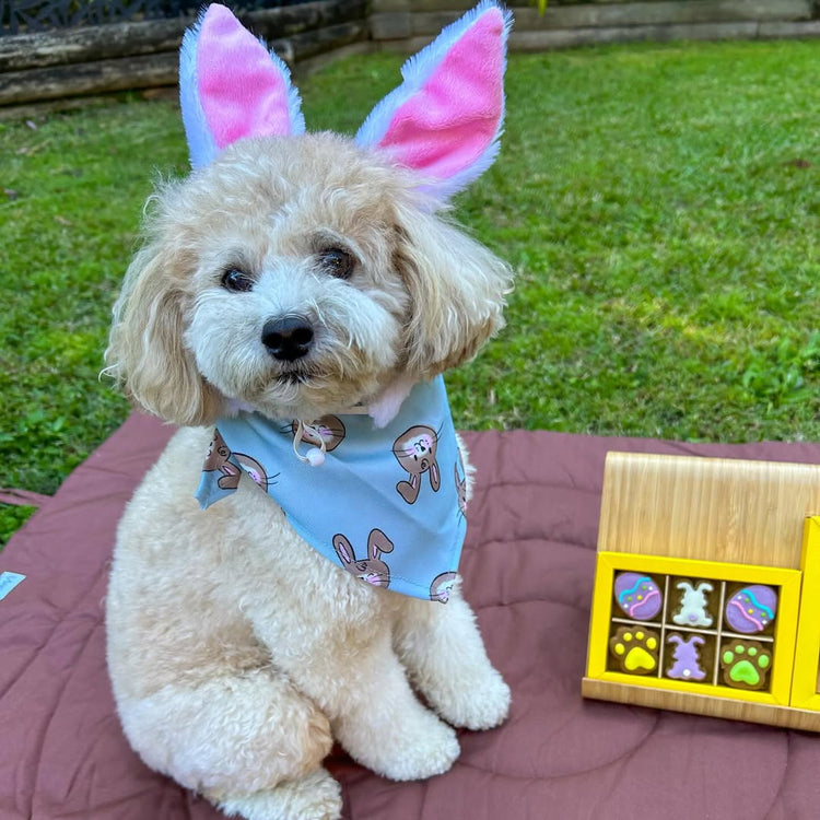 Easter Dog Pup Biscuits Social 2