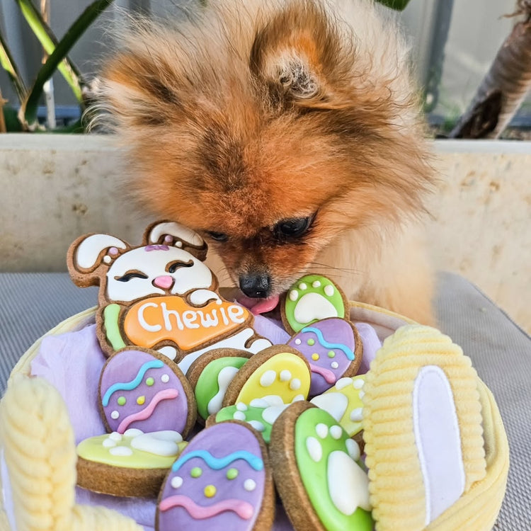 Easter Dog Treats Egg Hunt Social Chewie