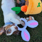 Easter Dog Treats Personalised Dog Gift Bunny Carrot Bentley