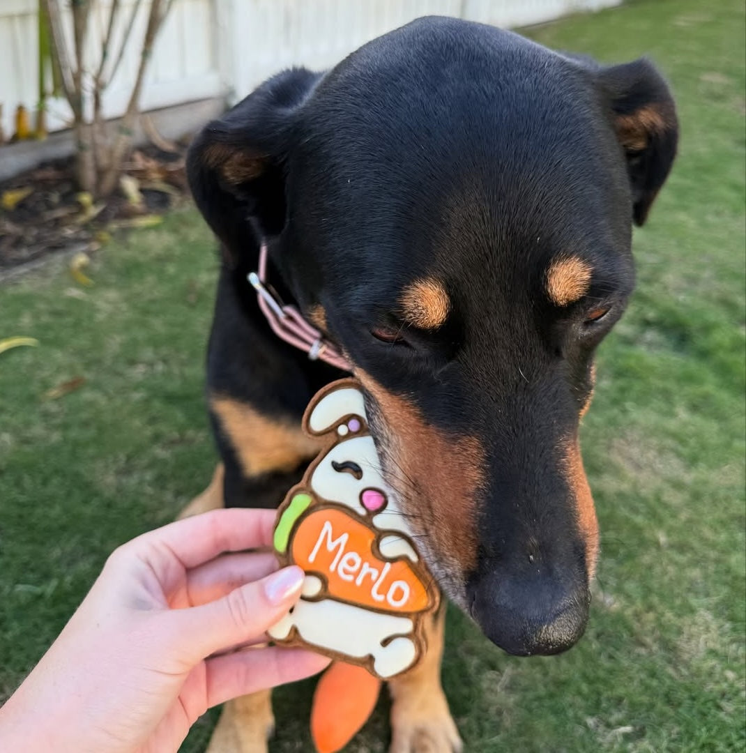 Easter Dog Treats Personalised Dog Gift Bunny Carrot Merlo