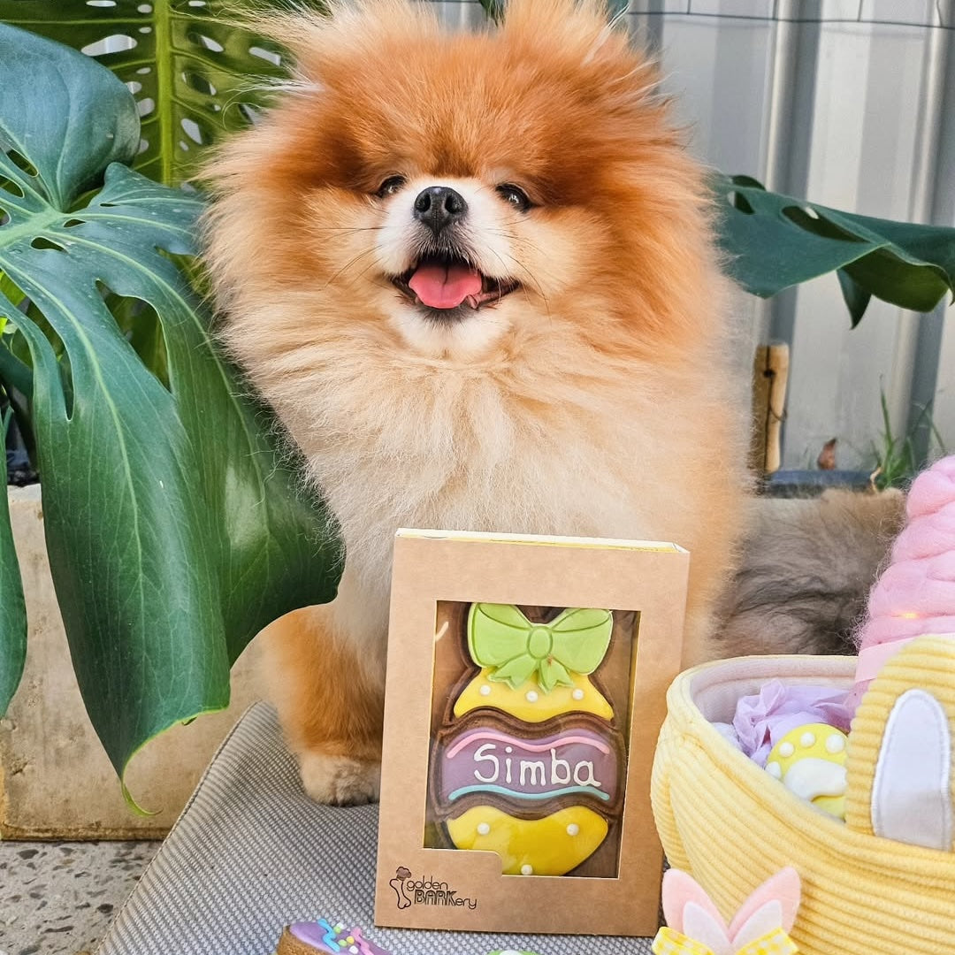 Easter Dog Treats Personalised Easter Egg Simba