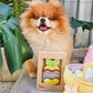 Easter Dog Treats Personalised Easter Egg Simba