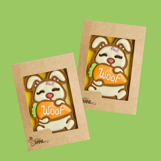 Easter Presents for Dogs - Bunny x 2