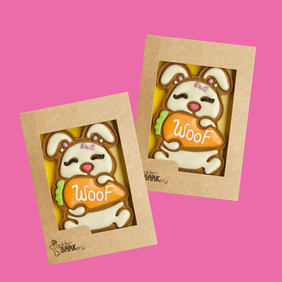 Easter Presents for Dogs - Bunny x 2