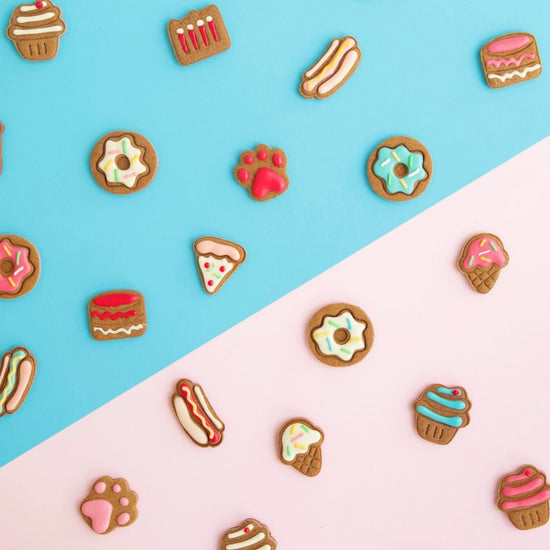 Cat & Dog Treats & Biscuits Bundles