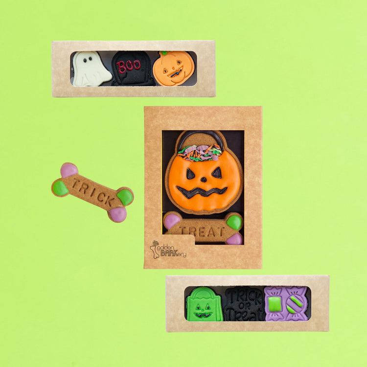 Halloween Dog Biscuits Spooky Starter Bundle