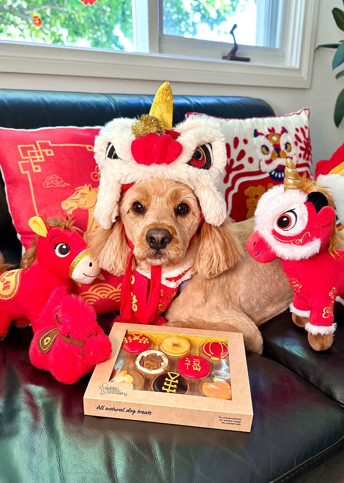 Lunar Chinese New Year Dog Treats Mooncake