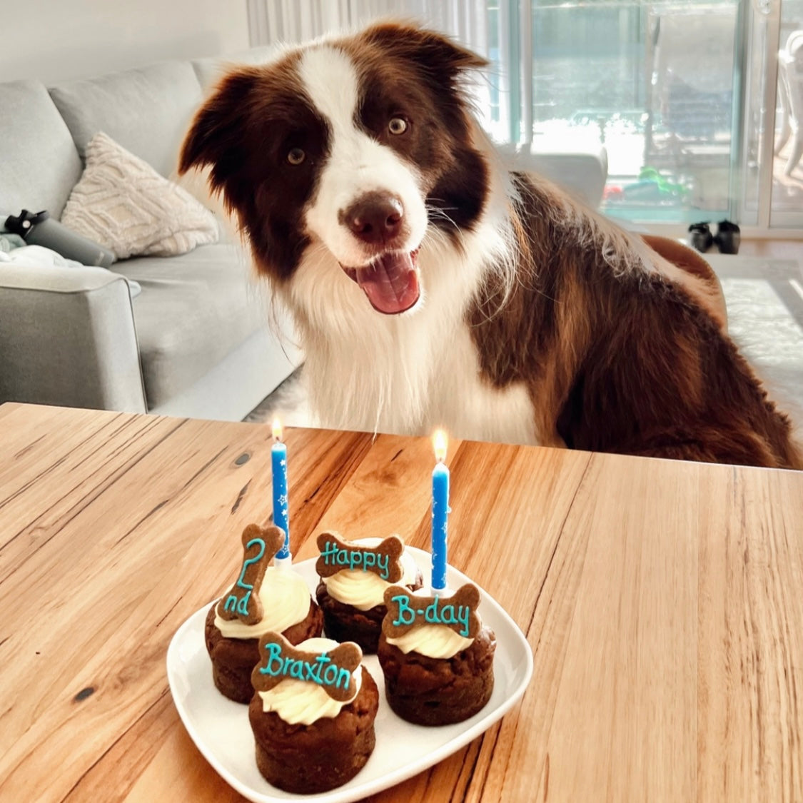 Dog birthday cake clearance personalised