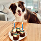Personalised Dog Cupcakes Pupcakes Puppy Cakes Braxton with Blue Writing