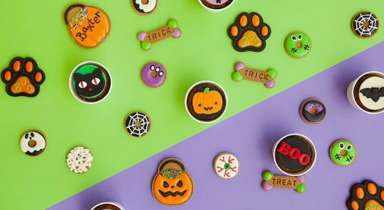 Spooky Halloween Dog Treats Collection