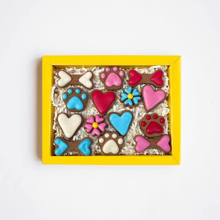 Valentines Day Dog Treats 14 Days Of Love Dog Biscuits Open Box