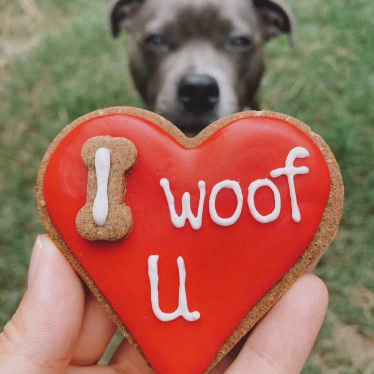 Valentines-Day-Dog-Treats-I-Woof-U-Homemade-Dog-Biscuits-Social