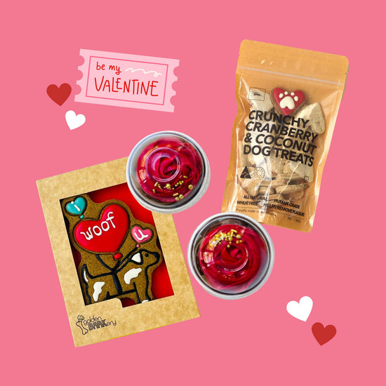 Valentines Gifts for Dogs Treats Be My Pawlentine Bundle