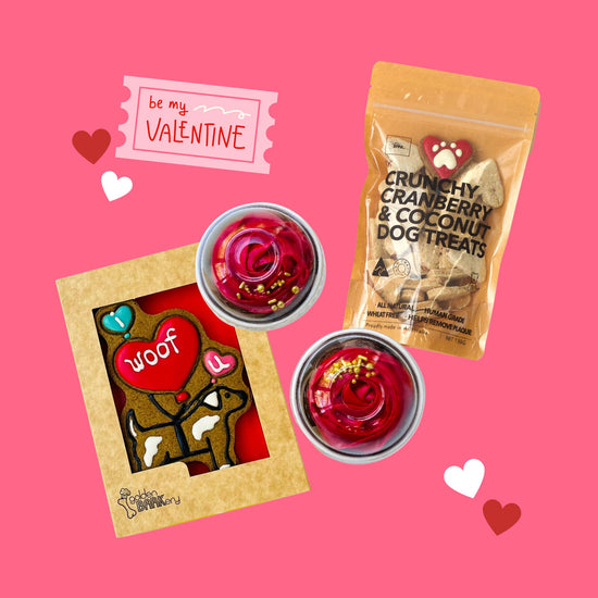Valentines Gifts for Dogs Treats Be My Pawlentine Bundle