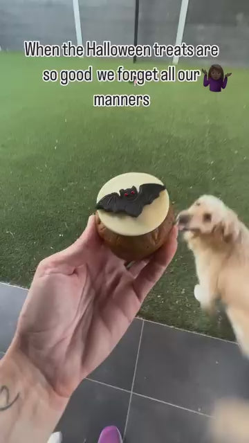 Spooky Dog Halloween Cupcakes Golden - Retrievers @mollyandme_now3