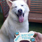 Teeko with Dog Birthday Cake Dog Bone White Blue Writing
