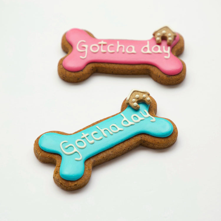 Dog Biscuits Happy Gotcha Day Dog Bone Blue Pink Multi Loose