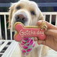 Dog Biscuits Happy Gotcha Day Dog Bone Pink Social