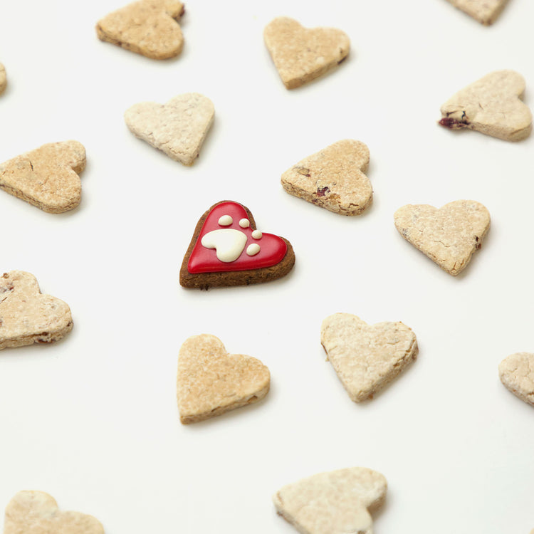Dog-Treats-Cranberry-Heart-Homemade-Dog-Biscuits-Loose