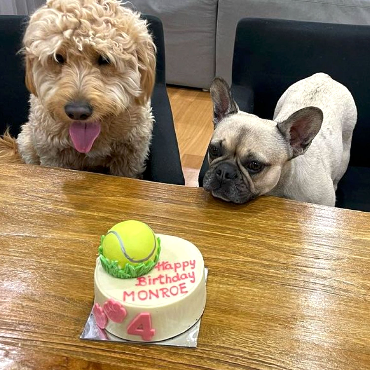 Tennis Ball Dog Birthday Cake Tennis Pup Cake Pink Monroe