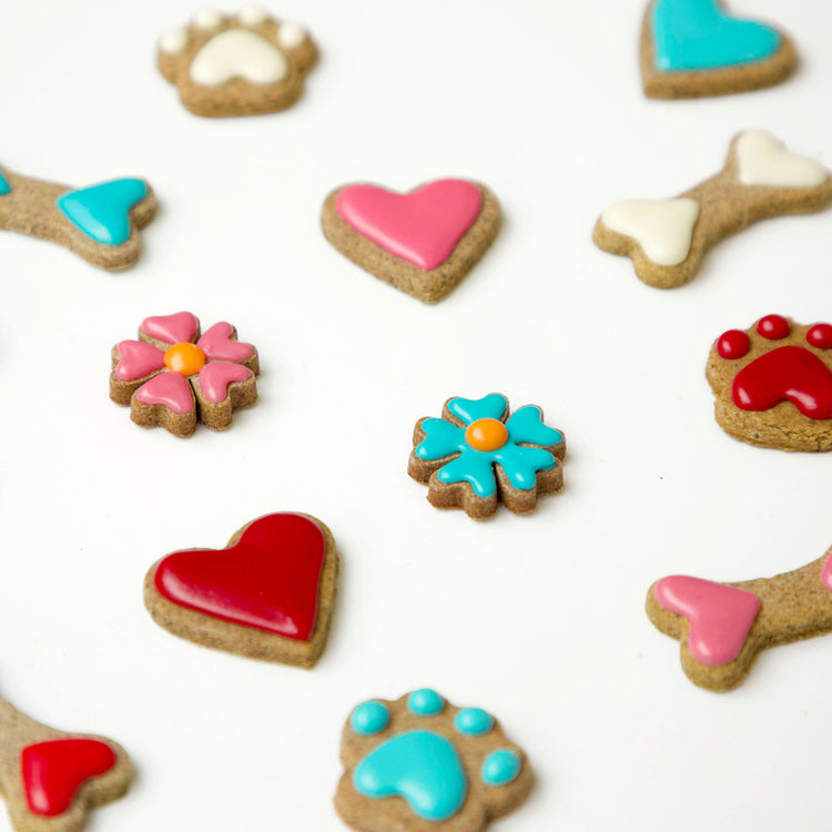 Valentines-Day-Dog-Treats-14-Days-Of-Love-Dog-Biscuits-Pack-Lifestyle